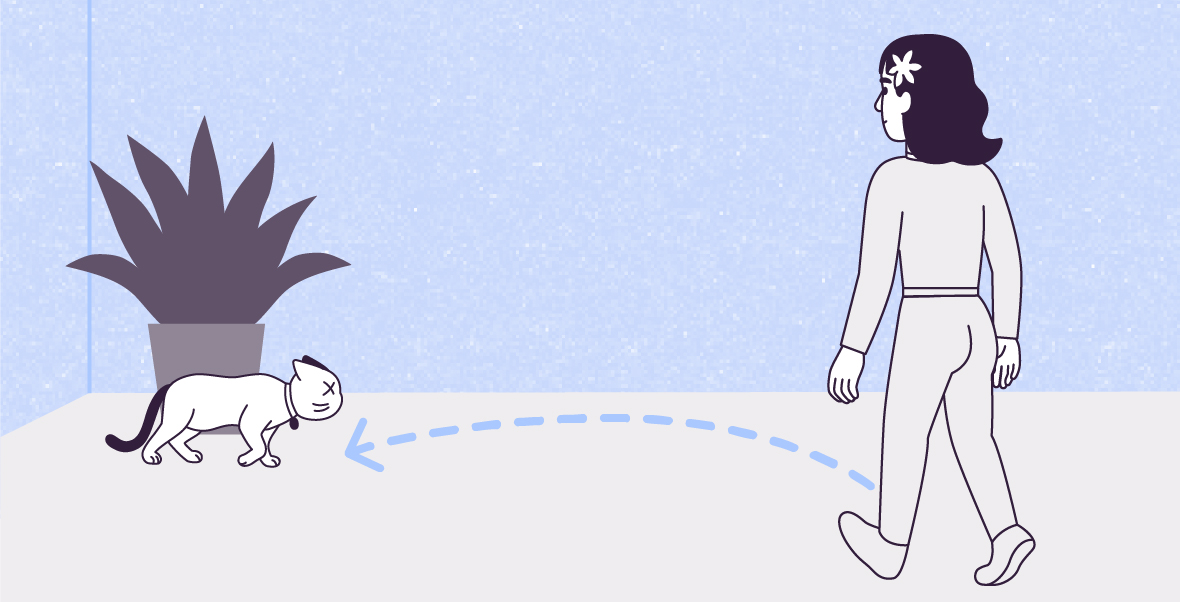 A vector illustration on a large Light Night Snow blue paper-textured rectangle with a smaller Off-White rectangle at the bottom, shows Lily walking towards Violet. Violet is walking to the right, with her tail down and her ears backward. On the floor, a dashed arrow describes a concave curve from Lily´s left foot towards Violet.