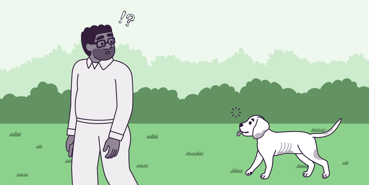 A vector illustration in a large horizontal rectangle, of Oliver, a medium-tall, large, dark gray-skinned, male-presenting man with short, curly, aubergine hair, a beard, and glasses, and Lilac, a small-sized, juvenile, short white-furred mutt dog with long ears, in green grass with light green bushes in the background and a light blue sky. Oliver is walking to the left but looking to the right, at Lilac, with his mouth open and two icons above his head, an exclamation mark, and question mark. Lilac is standing to the right, looking to the left, at Oliver, with her tongue out, her tail up, dirty fur, and a shape of circular rays over her head. 