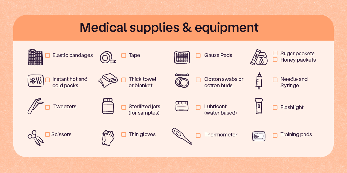 under medical supplies and equipment are elastic bandages, tape, gauze pads, sugar or honey packets, scissors, thin gloves, instant hot & cold packs, thick towel or blanket, cotton swabs or buds, needle and syringe, thermometer, training pads, tweezers, sterile jars (for samples), lubricant (water-based), and a flashlight; 