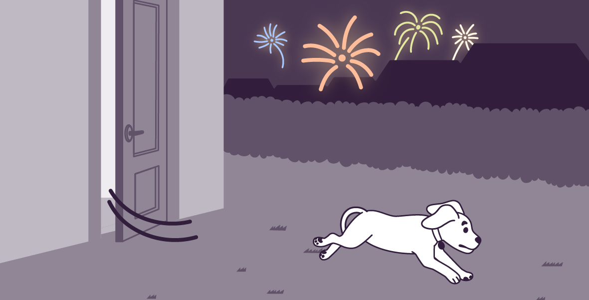 A vector illustration on a large rectangle of Lilac, running from home into the backyard at night, with her tail between her legs. The door is half open. There are colorful fireworks in the sky. 