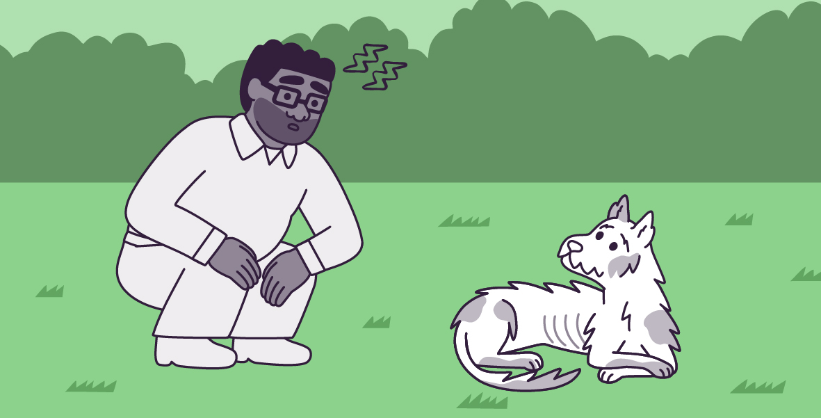 A vector illustration in a large horizontal rectangle, of Clover, a medium-sized, white mutt dog with long, spiky fur and short, upright ears, and Oliver, a medium-tall, large, dark gray-skinned, male-presenting man with short, curly, aubergine hair, a beard, and glasses, in green grass with light green bushes in the background. Oliver is crouching next to Clover, on his left, with his hands on his knees and two lightning icons above his head. Clover is lying down, facing left, looking at Oliver, with his front paws crossed, his ears upright, and dirty fur. 