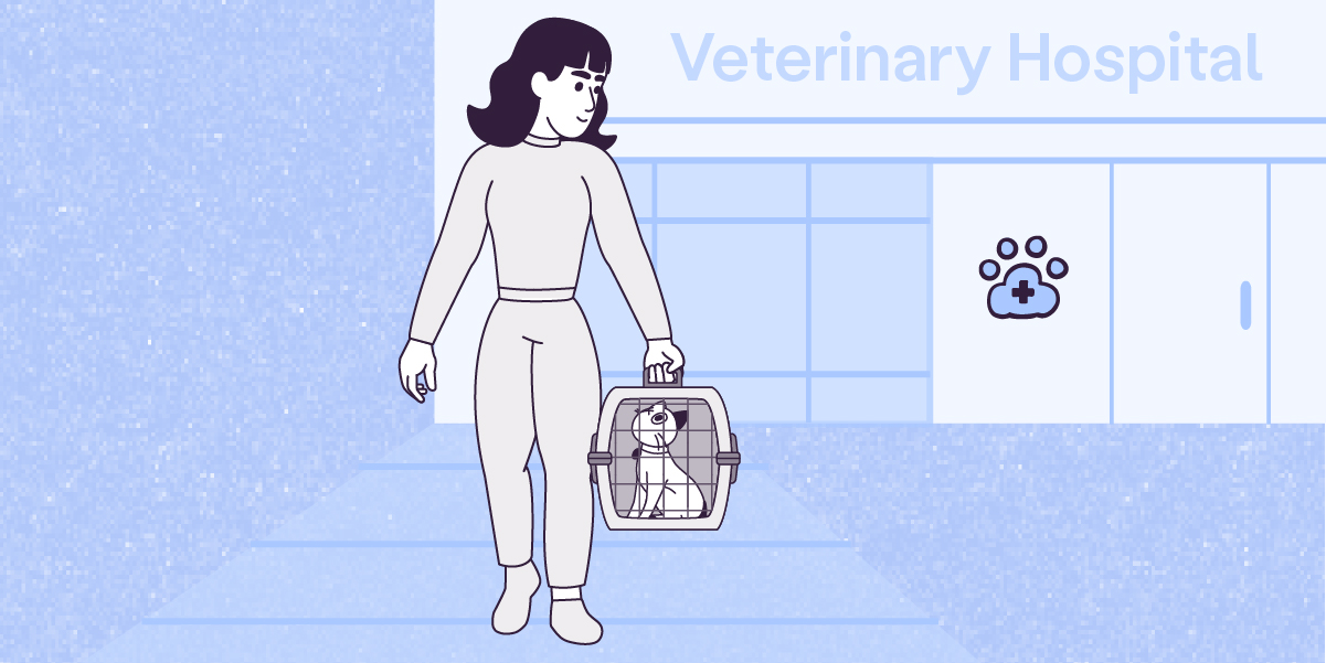 A vector illustration on a night snow blue paper-textured rectangle of Lily, facing you, walking from a Veterinary Hospital behind her.  The Veterinary Hospital is white light snow blue, with light night snow blue windows and a cross inside a paw icon on the front door. Lily is carrying a pet box with her left hand, where Violet sits and looks upwards. Lily looks at Violet and smiles. 